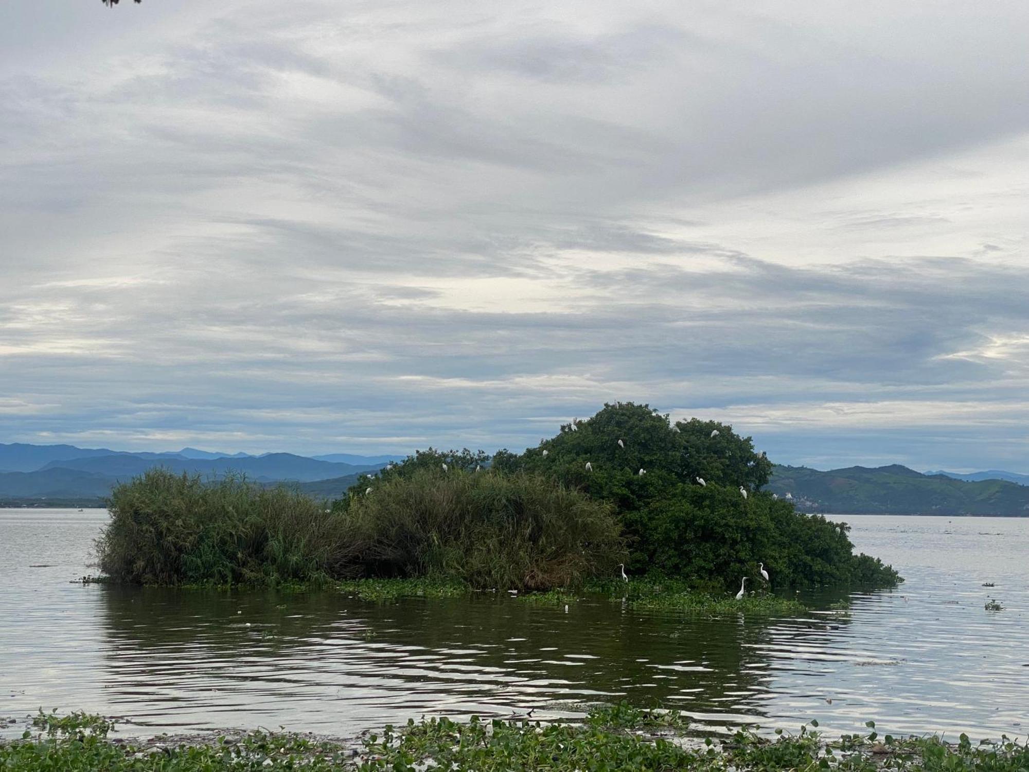 Acapulco Diamante Hermoso Departamento ภายนอก รูปภาพ